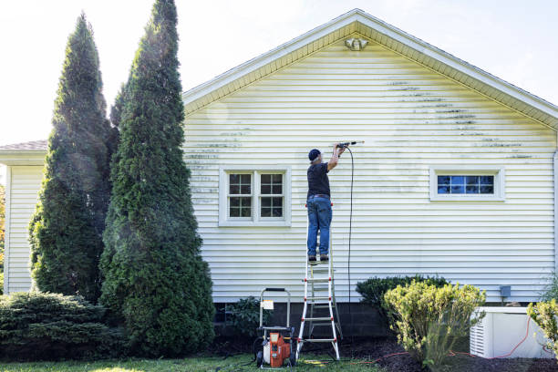 Trusted Mcgaheysville, VA Pressure Washing Services Experts